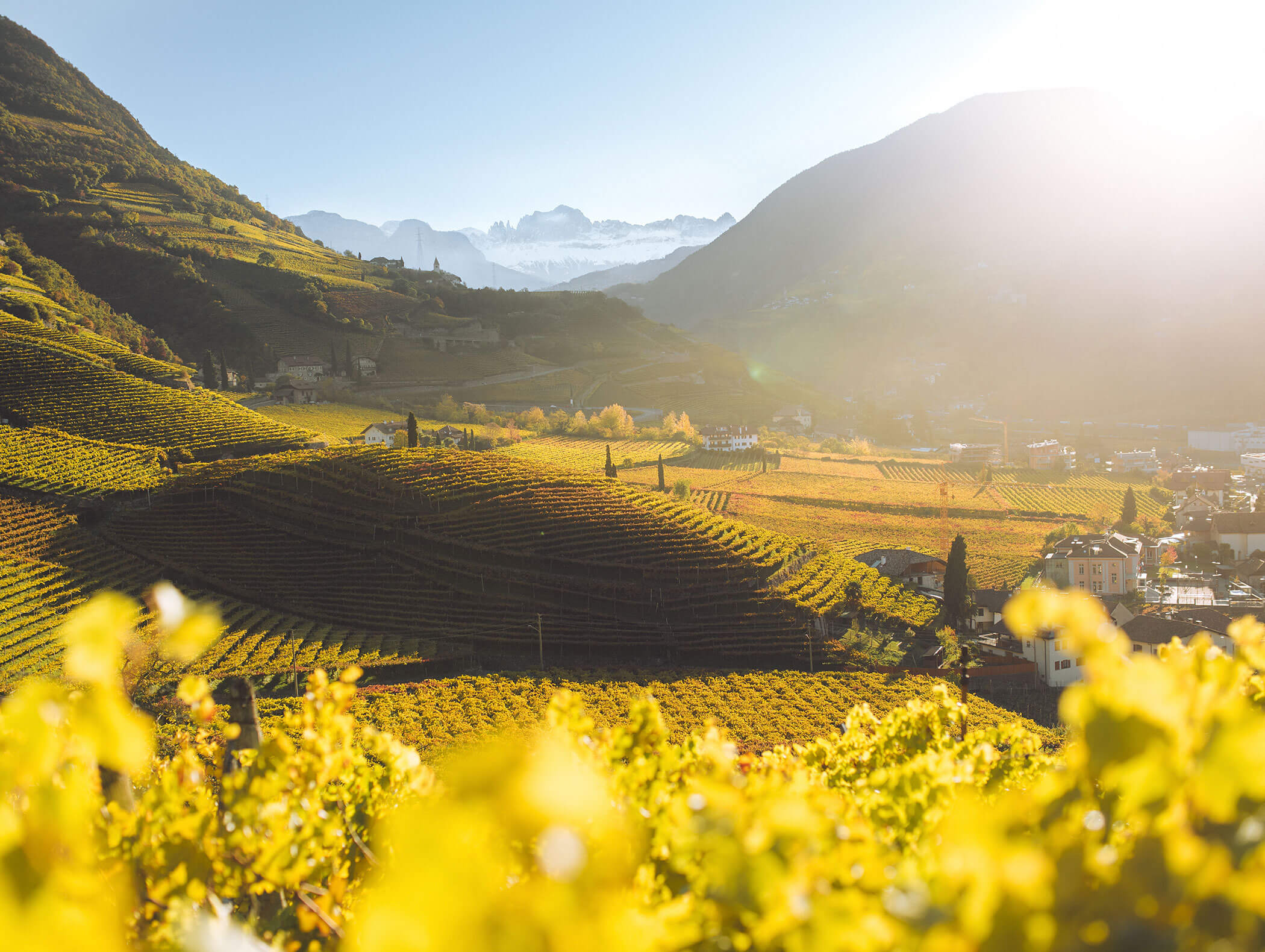Herbstgenuss - Südtirol