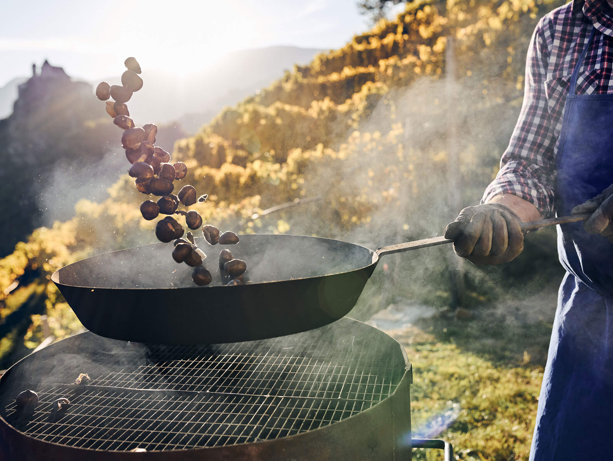 Kastanien - Südtirol