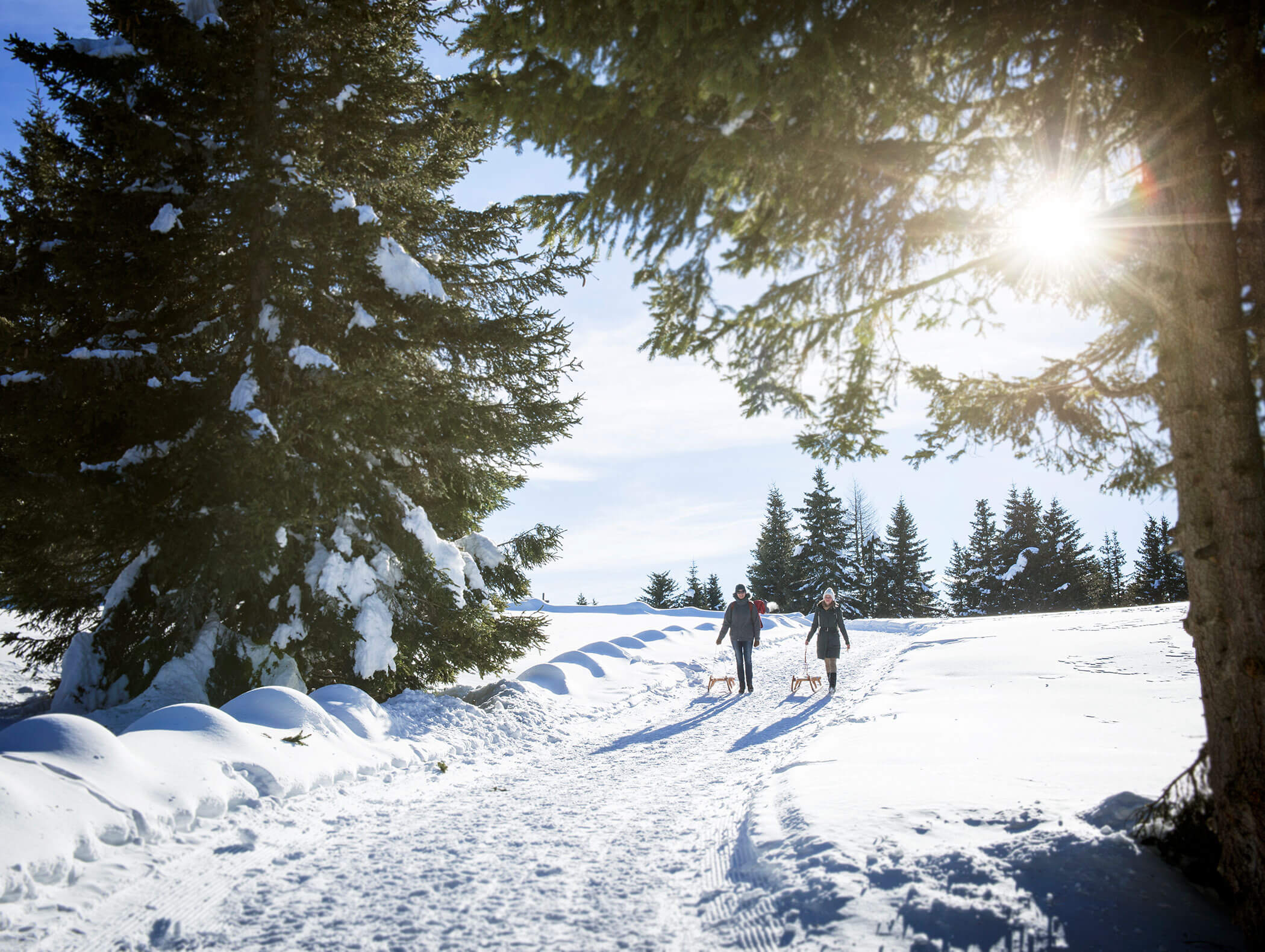 Rodelgaudi - Südtirol