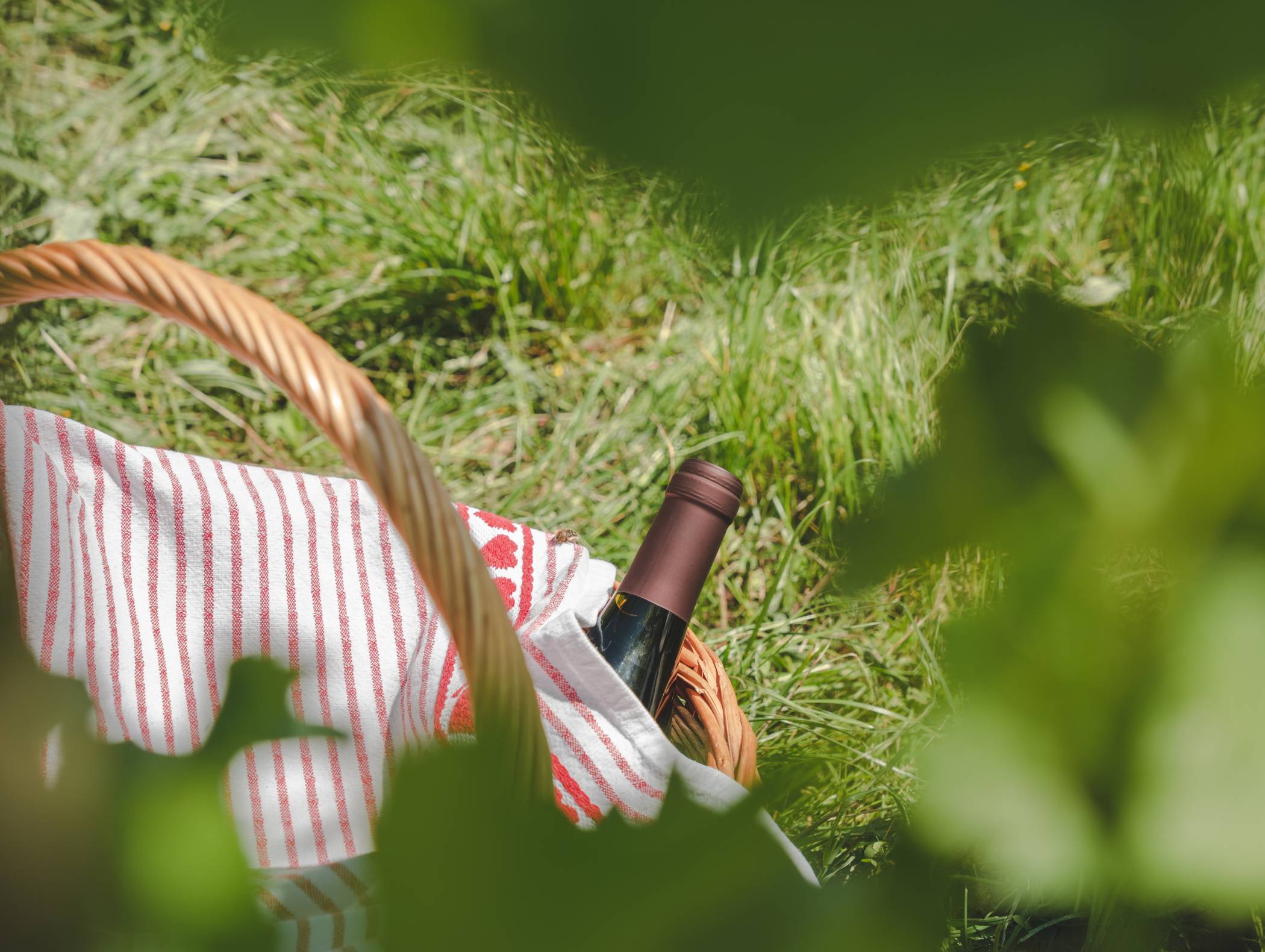 Vino regionale
